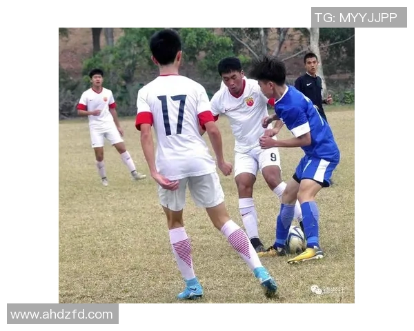 世界锦标赛特别报道：成都篮球队拼搏历程与荣耀时刻的全景回顾