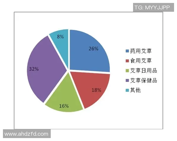 北京篮球队的意识探讨与发展现状分析及未来展望