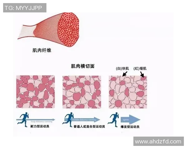 北京排球队与南京排球队耐力对决赛后分析与总结