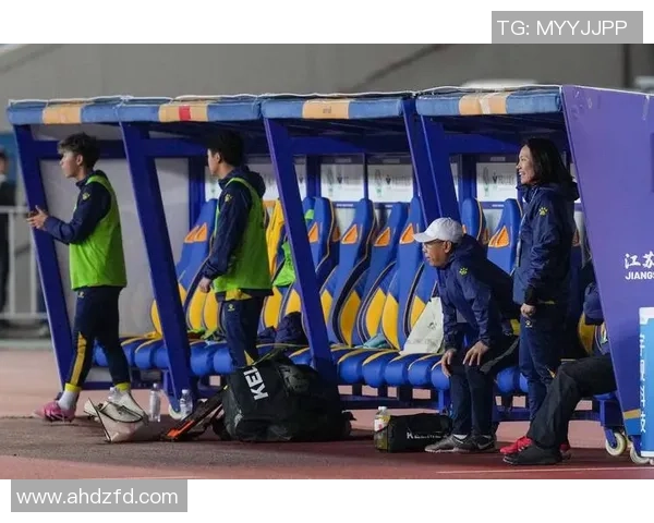 南京足球队的比赛经验揭秘与成长之路的深度探讨