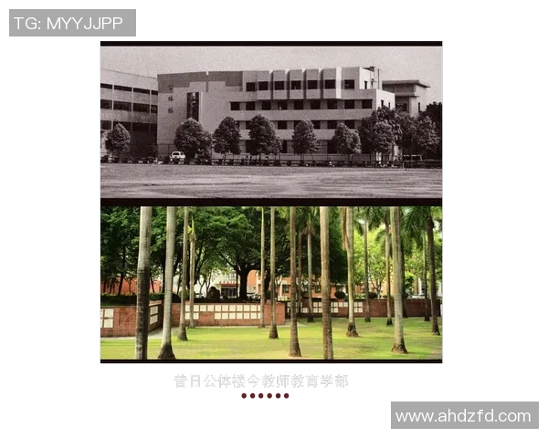 对话刘芳：回顾乒乓球生涯中的辉煌时刻与心路历程