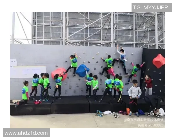 南京攀岩队比赛经验的创新与变革引发热议与关注