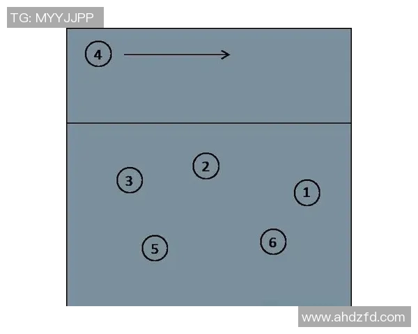杭州排球队在冠军赛中的实力展现与战术分析全面解读
