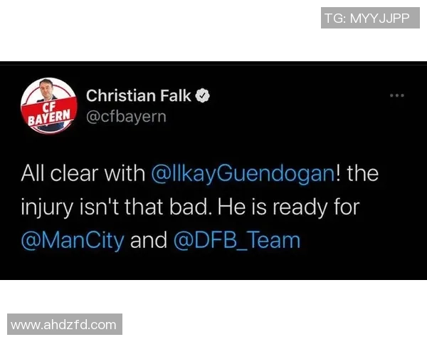 武汉羽毛球队整体表现分析及其对比赛结果的影响探讨