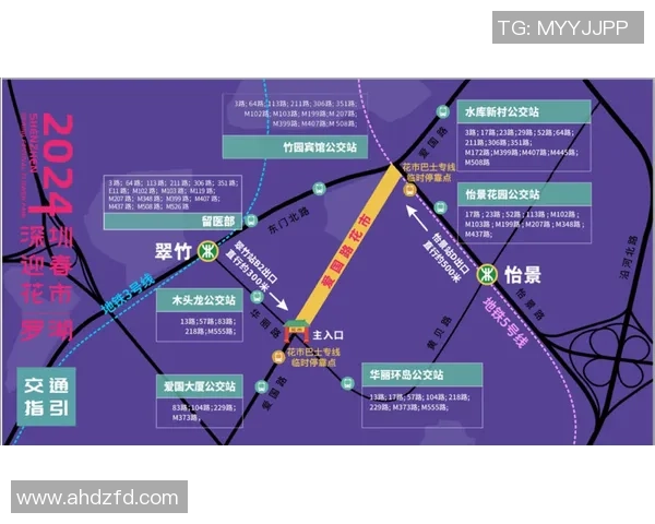 深圳羽毛球队的实力与发展路径深度分析与探讨